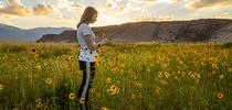 Dustin Blakeys daughter admires sunflowers growing along the Owens River. By Dustin Blakey for ANR Employee News Blog