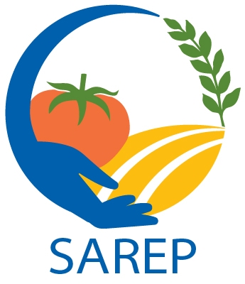 SAREP brand logo