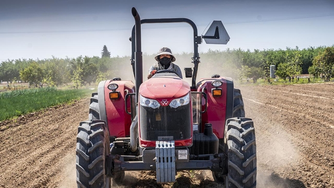 A farmer drives a red tractor toward the camera in the field