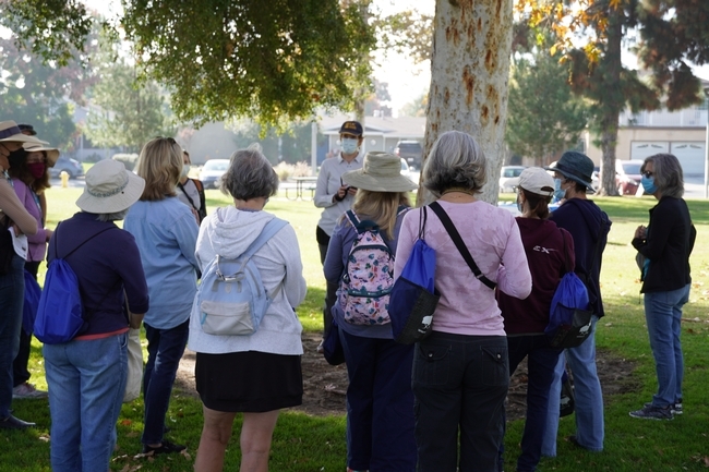 People wearing facemasks stand around a tree in a park.