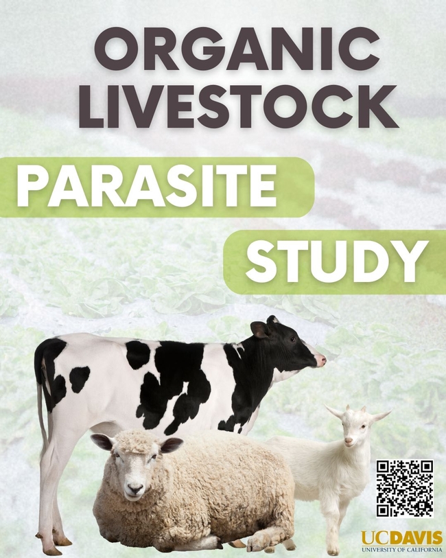 Organic Livestock Parasite Study. Images of a cow, sheep laying down and a white goat. A QR code for the survey is above the UC Davis logo.