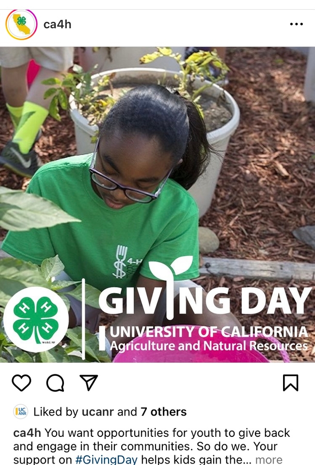 Black girl plants a plant. 4-H Giving Day