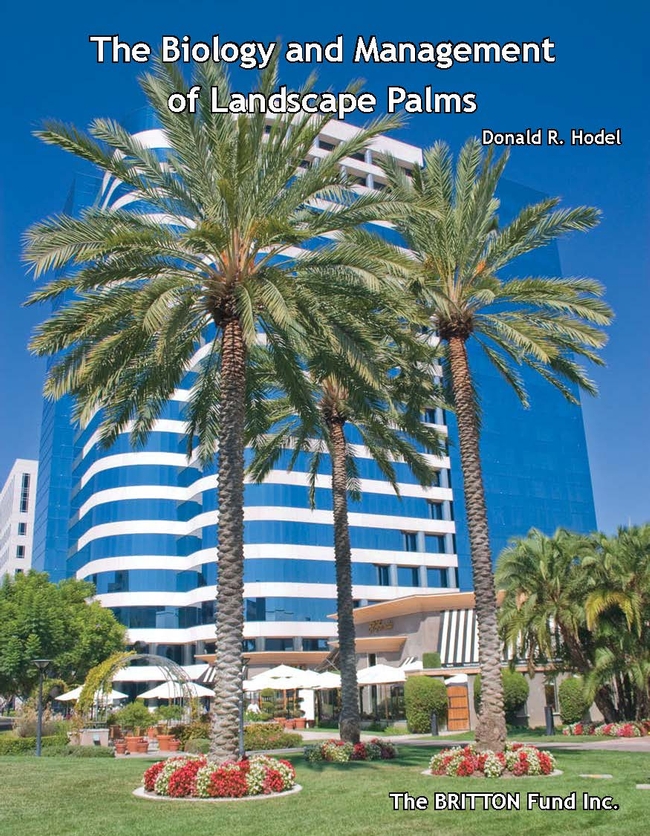book cover showing palm trees