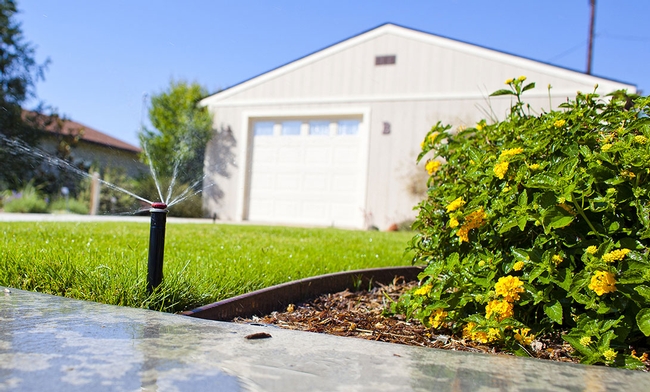 After rain fall, turn off your automatic sprinklers to conserve water.