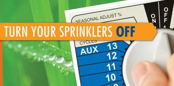 Turn sprinklers off after rainfall.