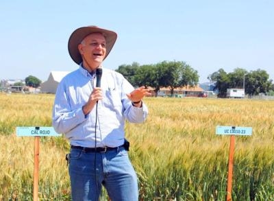Jorge Dubcovsky speaks at the small grains field day.