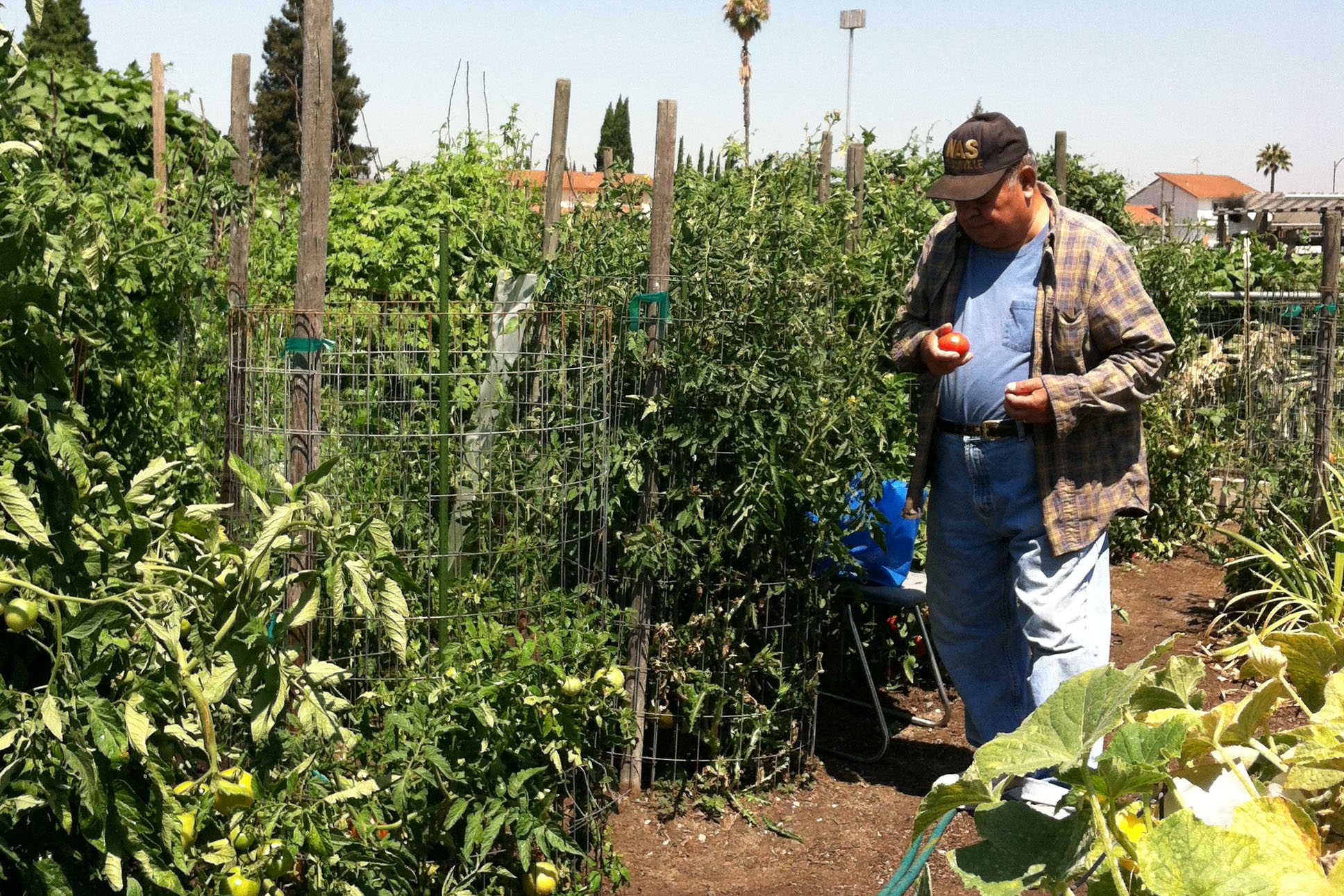 Growing Efforts to Protect Agriculture in the Santa Clara Valley