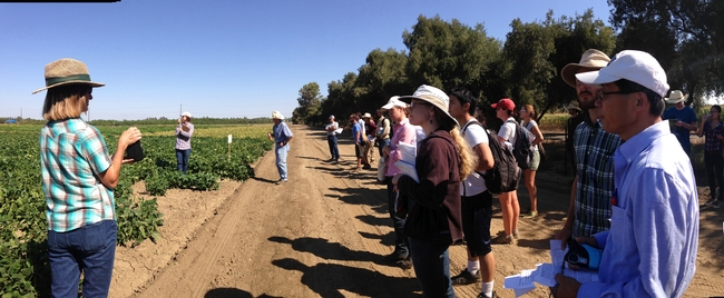 Rachael Long, left, discusses lygus and nematode resistance in lima bean varieties at a 2014 field day.
