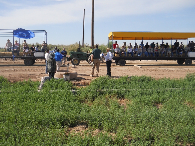 A previous field day at the UC Desert Research and Extension Center.