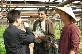 Baameur discusses leafy greens production with Professor Qingquo Wang and grower Mike Lee.