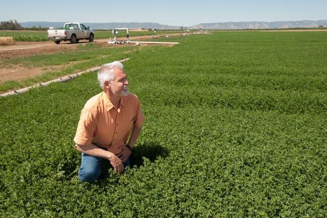 “Many programs in California have been recently put in place to help balance the benefit and harm of nitrogen use,” says Thomas Tomich, ASI director. Gregory Urquiaga/UC Davis 2016