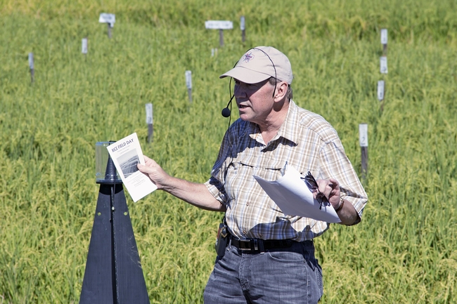 Larry Godfrey, UC Cooperative Extension entomology specialist, spoke about insect control in rice at the Rice Field Day in August.