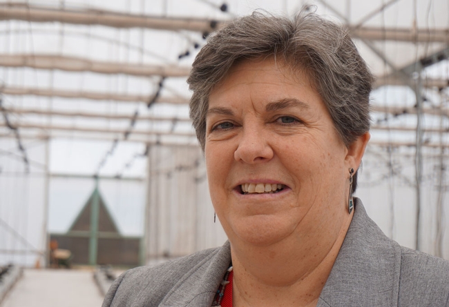 UC ANR vice president Glenda Humiston will testify before the House Committee on Agriculture June 22 about the value of federally funded agricultural research.