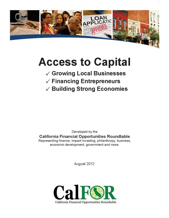 The Access to Capital guide provides innovative options for financing projects for small business owners, policymakers and financial institutions.