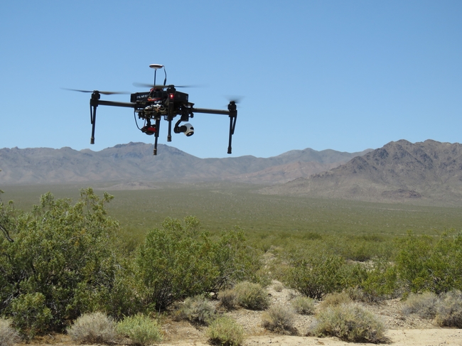 A drone flies over the Mojave Desert to create a detailed vegetation map for a desert tortoise habitat study.
