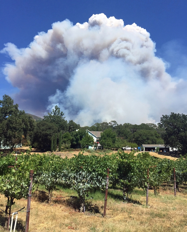 The 2018 River Fire started about 60 feet from Glenn McGourty's home, but the wind blew smoke away from his grapes. Photo by Glenn McGourty'