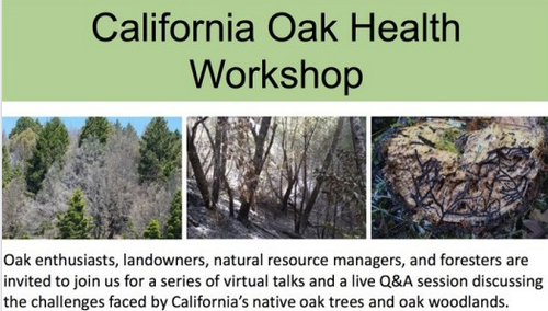 More than 450 people have registered for an online oak health workshop, an event that would normally draw about 40 people in person.