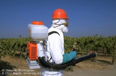 People who work on farms wear personal protective equipment to protect themselves from COVID-19, pesticides, dust and other health hazards.