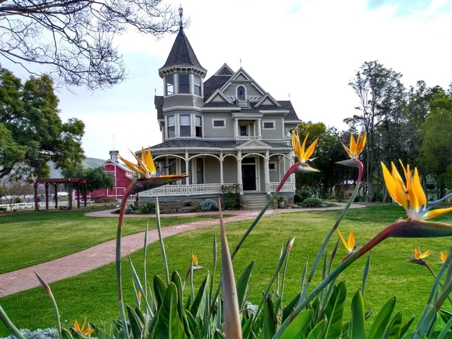 A large, gray, stately Victorian house trimmed in white, surrounded by an expanse of green lawn. Bird of paradise flowers in foreground and a red barn sits behind the house on the left.