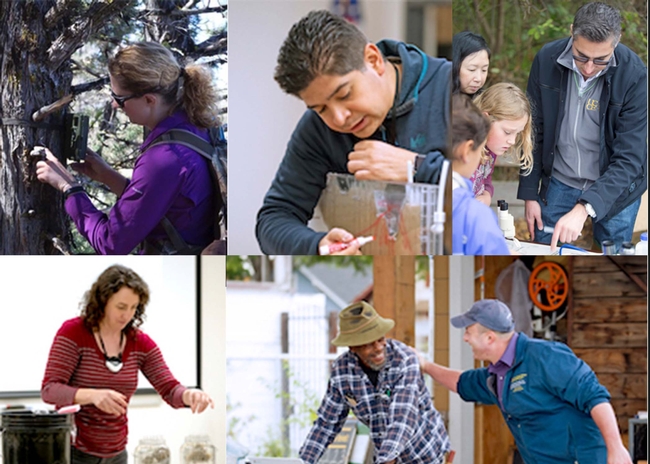 Collage of 5 UC Cooperative Extension scientists working. Woman in purple shirt examines tree bark. Latino man draws to show groundwater movement in soil. Man in sunglasses points to insects as blonde and brunette girls look on. Woman with dark brown hair demonstrates soil movement in 2 large jars of water. Man in baseball hat slaps the back of a man in urban garden.