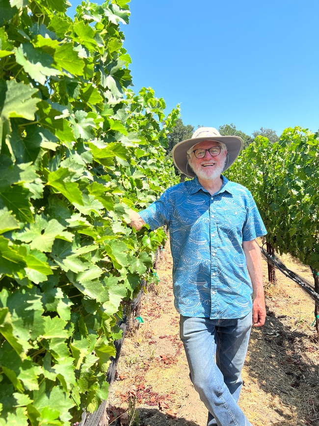 Smiling man leaning against a row of grape vines.