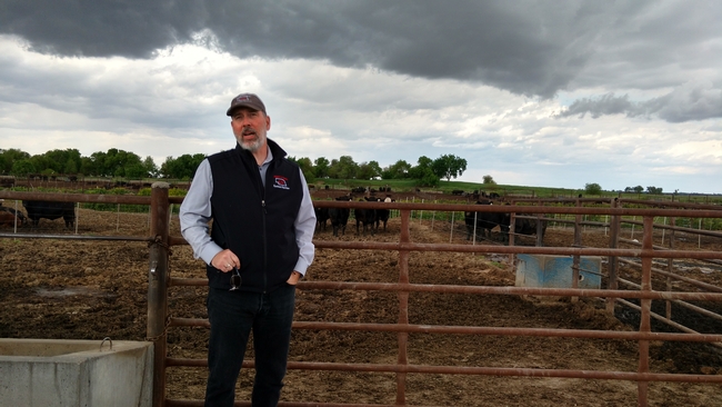 Galen Erickson (UNL Animal Science) gives us an overview of environmental research taking place at the feedlot