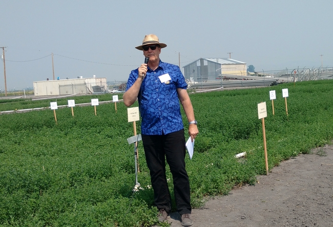 Dan Putnam talks about alfalfa variety trials at the Intermountain REC Field Day (July 2018)