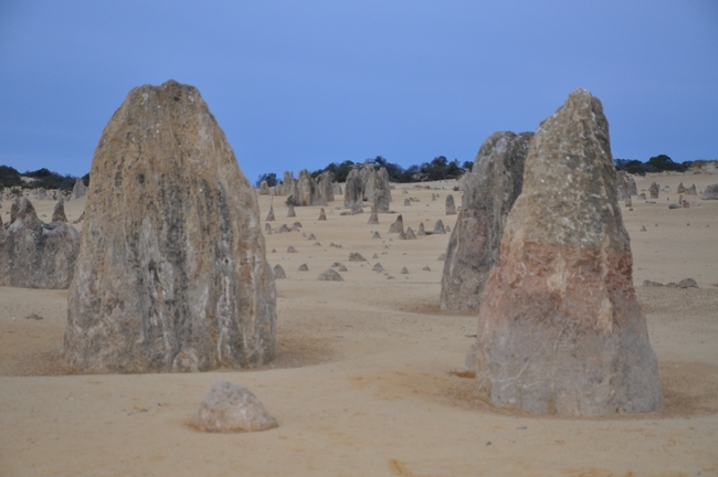 Pinnacles desert