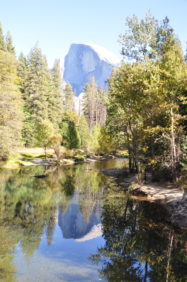 Half Dome reflections