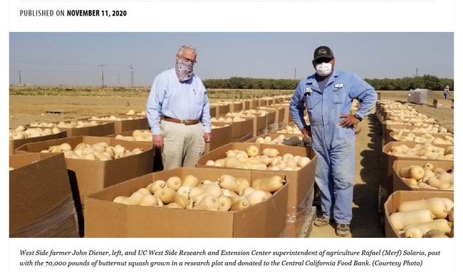 Jeff Mitchell and West Side REC partner with a local grower to donate butternut squash to the Central California Food Bank (from Morning Ag Clips)