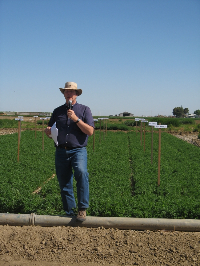 Dan Putnam describes alfalfa variety differences during a recent field day.