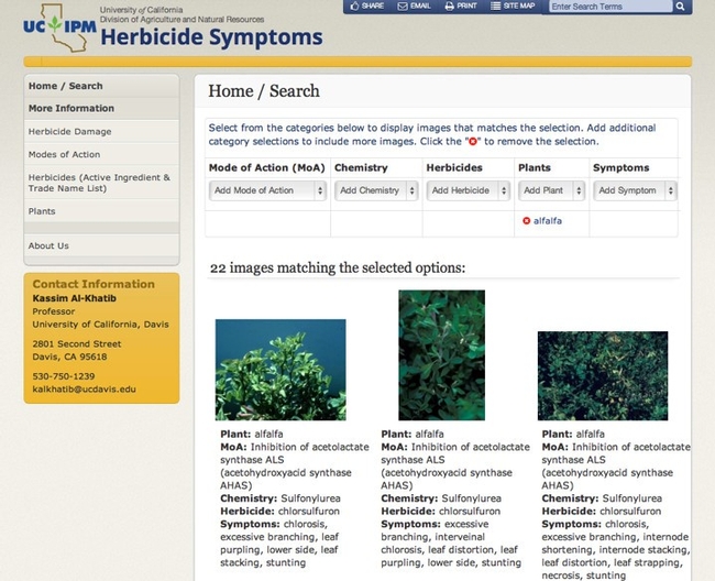 Herbicide Symptoms