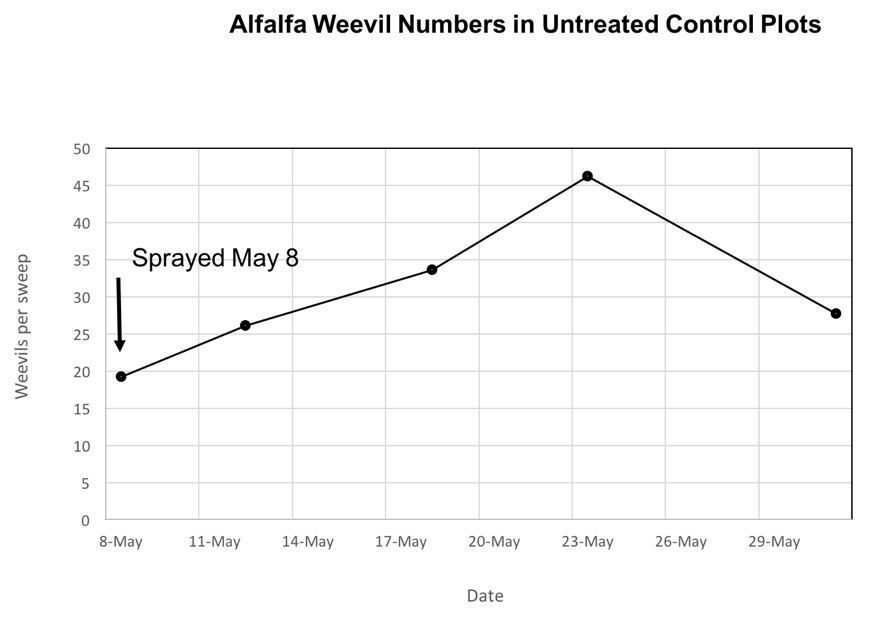 Study looks at pesticide combo for alfalfa weevil control