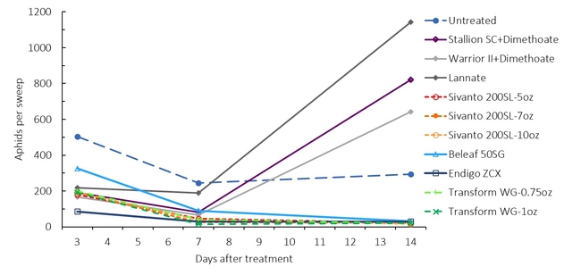 Fig. 4. Aphid Populations-time - Tulelake Insect Trial