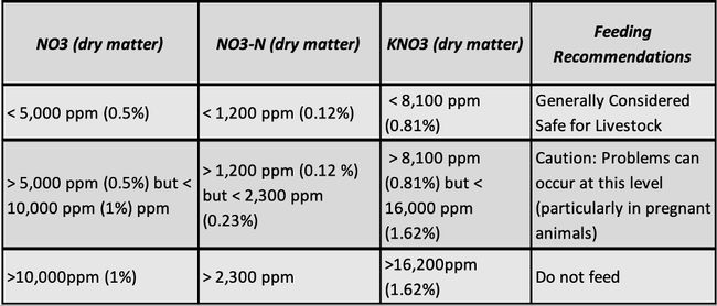 Nitrate thresholds for feed