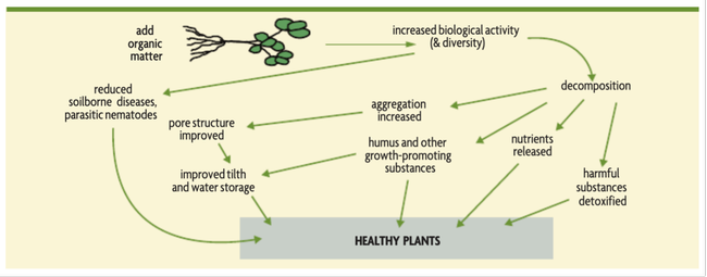 Figure 1. Benefits of adding organic matter to soils (Magdoff F, H van Es, 2021).