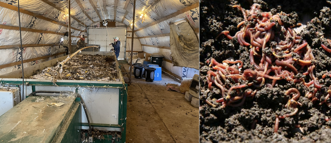 Photo 1. Vermiculture operation at Fulstone Ranches where worm castings (excrement) are collected to make compost tea that is applied to alfalfa fields twice a year, helping to improve plant and soil health.