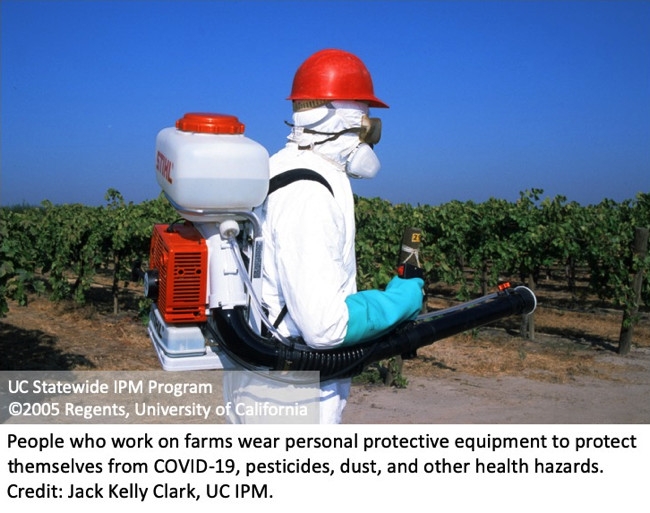 Wear PPE while applying pesticides.