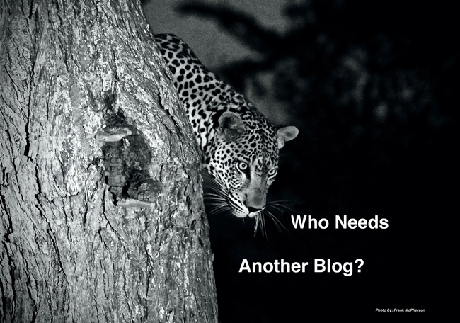 Who Needs Another Blog?