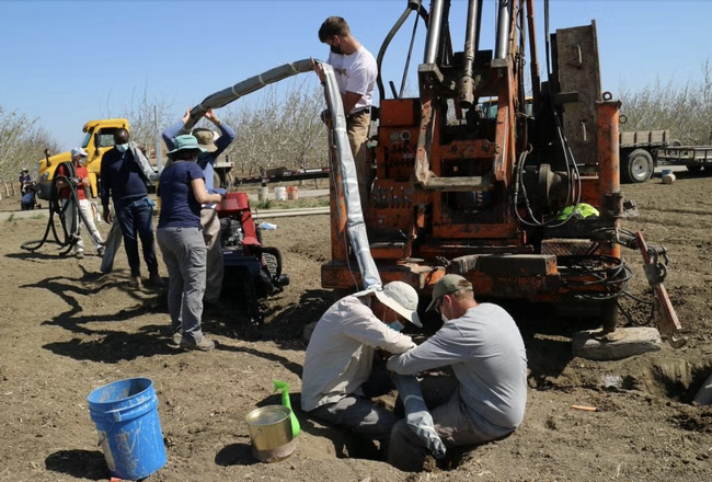 Investigadores de UC Davis insertan un dispositivo que recolecta muestras de agua subterránea continuamente, ofreciendo información de tiempo real sobre el movimiento del contaminante nitrato. Fotografía por Isaya Kisekka