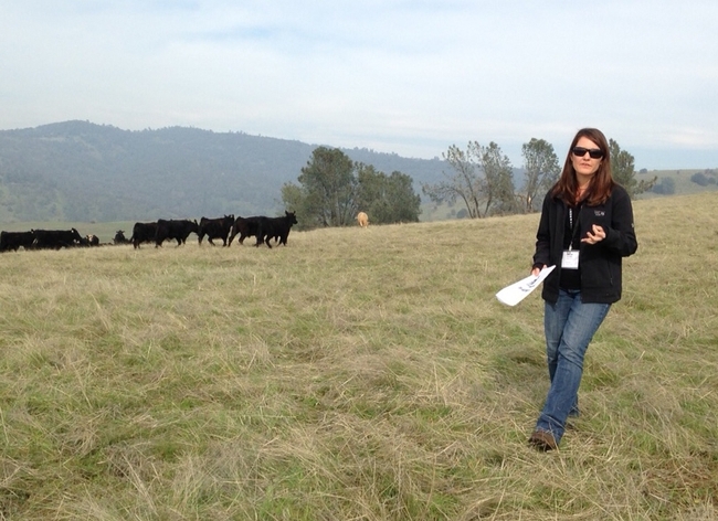 Leslie Roche, especialista de UCCE en pastizales en UC Davis, ayudará a los rancheros a adaptarse al cambio climático.