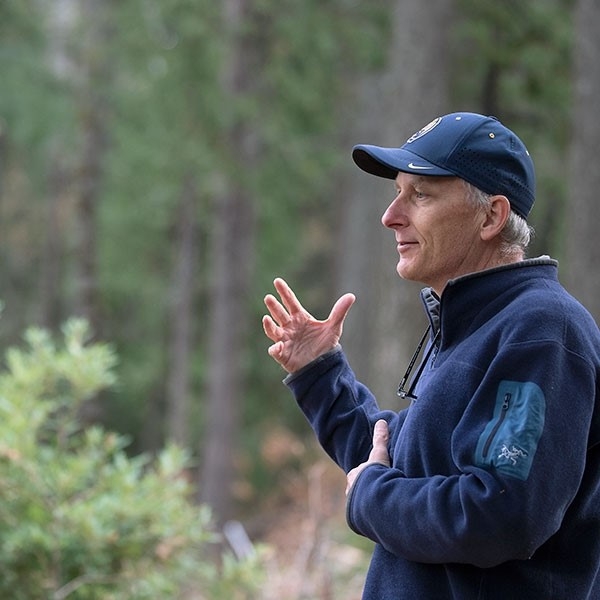 A John Battles le gusta ver la mezcla de las seis especies de árboles que conforman el bosque de coníferas de la Sierra.