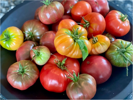 Photo of a bunch of tomatoes
