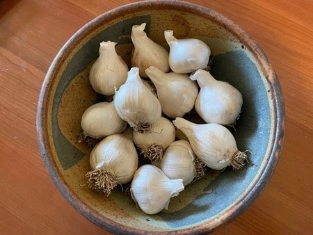 Photo of a bowl of garlic bulbs