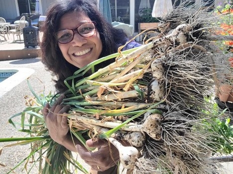 Photo of woman with harvested garlic