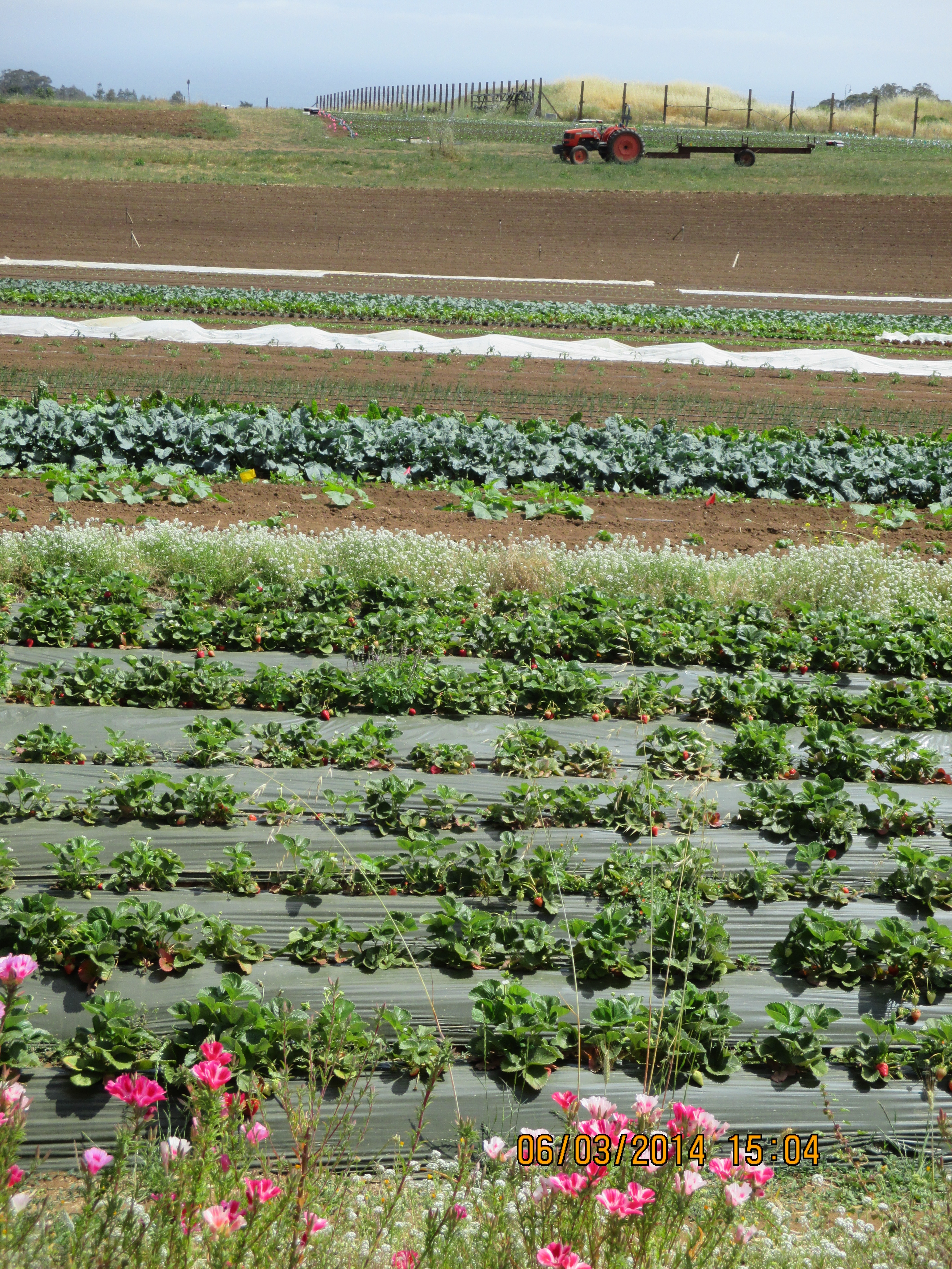 Garden Travels UC Santa Cruz Farm Sustainability HOrT COCO UC