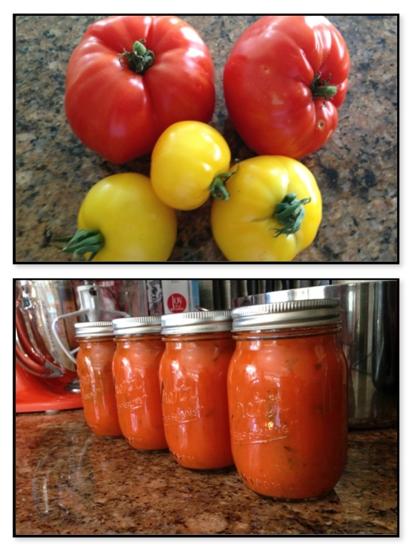 Tomatoes and Jars of Tomato Sauce