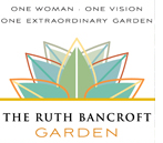 Ruth Bancroft Gardens logo