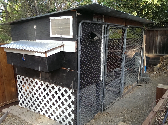 This is a picture of the chicken coop and run that I built.