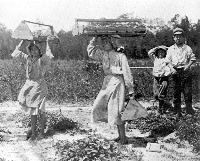 Italian immigrant family working the fields